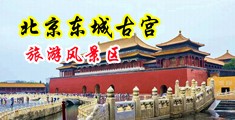 比基尼美女被操视频中国北京-东城古宫旅游风景区